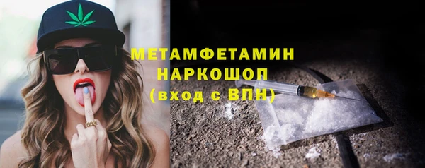 эйфоретик Гусь-Хрустальный