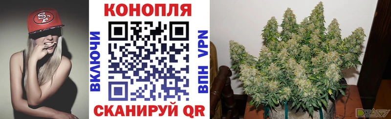 купить наркотик  Урюпинск  МАРИХУАНА THC 21% 